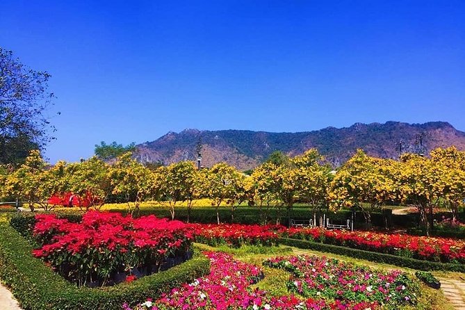 Khao Yai national Park day tour from Bangkok - Wildlife watching without false promises