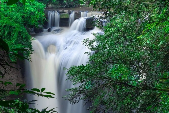 Khao Yai National Park Full-Day From Bangkok - Including Ticket - Wildlife in a real national park, not a zoo