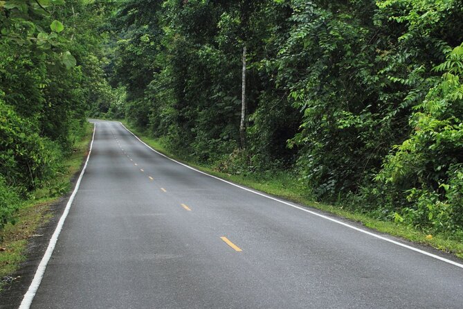 Khao Yai National Park Full-Day From Bangkok - Including Ticket - Haew Suwat Waterfall and its steep approach