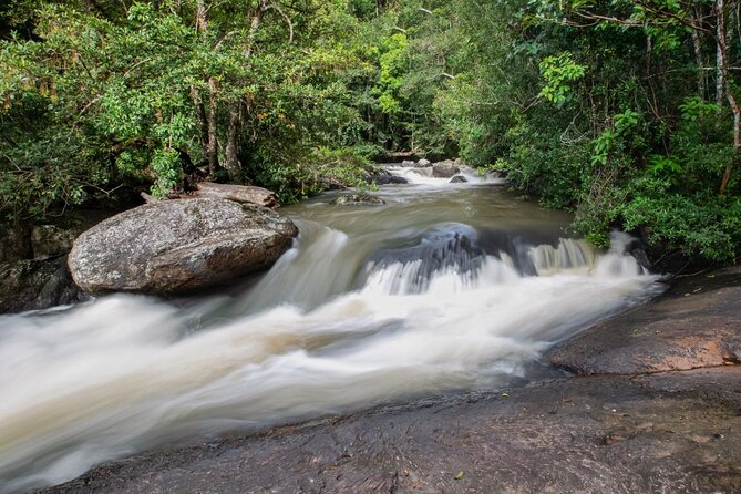 Khao Yai National Park Full-Day From Bangkok - Including Ticket - Lunch, water, and the practical rhythm of the day