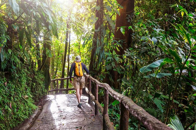Khao Yai National Park Full-Day From Bangkok - Including Ticket - The 3 to 4 kilometer forest trail