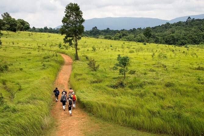 Khao Yai National Park Full Day Tour from Bangkok - Why Khao Yai makes a worthwhile day from Bangkok