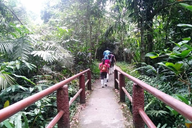 Khao Yai National Park Hiking Day Tour: Haew Narok and Haew Suwat - Thai lunch and the visitor center