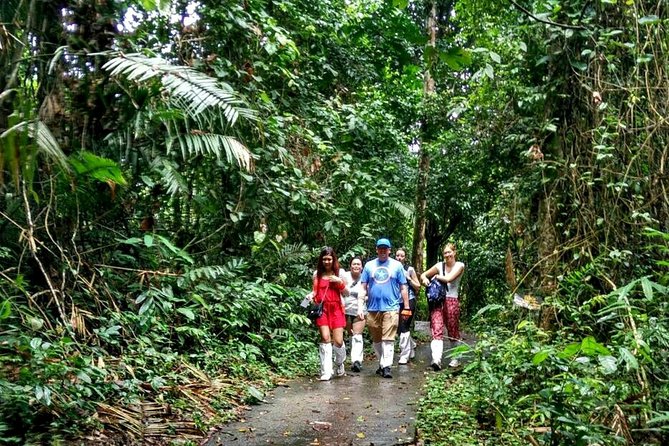 Khao Yai National Park Hiking Day Tour: Haew Narok and Haew Suwat - KM 30 Viewpoint and the final park stop