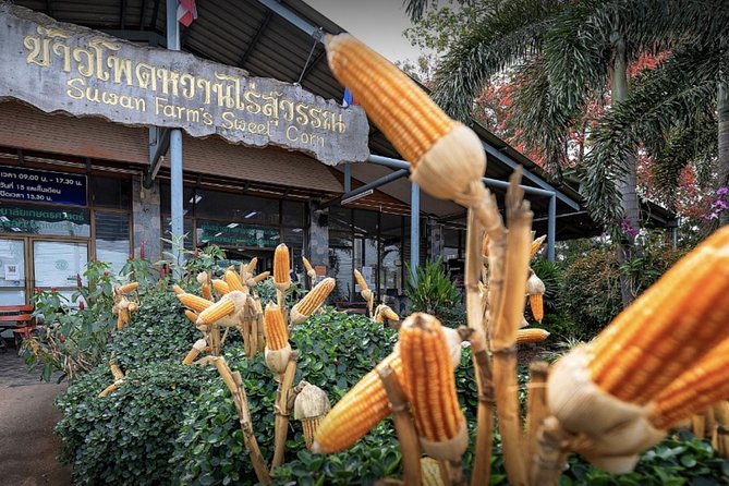 KhaoYai National Park 3D2N - Wildlife, weather, and the best time to go