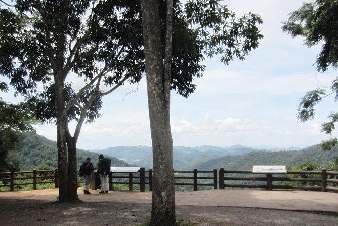 KhaoYai National Park 3D2N - Should you book this Khao Yai tour?