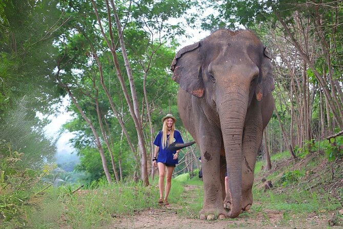 Living Green Elephant Sanctuary Tour from Bangkok and Pattaya - Why this sanctuary feels different