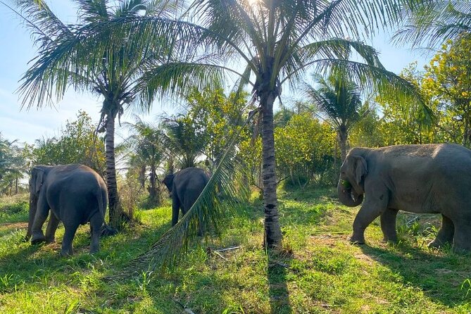 Living Green Elephant Sanctuary Tour from Bangkok and Pattaya - Who will enjoy this most