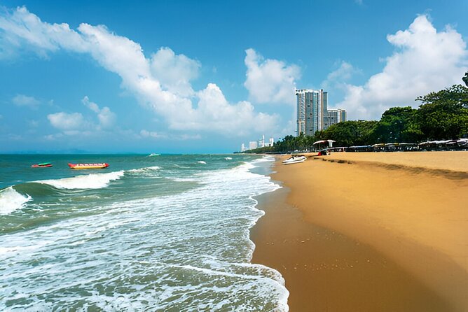 Pattaya Private Day Tour from Bangkok or Pattaya - What the driver service adds
