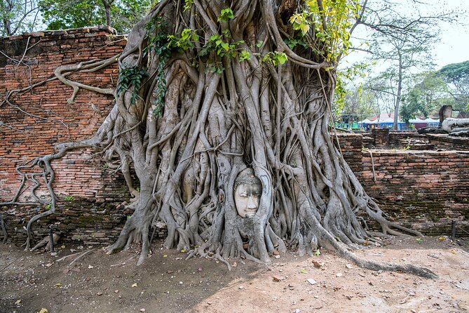 Private Ayutthaya Day Tour from Bangkok - Wat Mahathat and Ayutthaya’s Famous Center