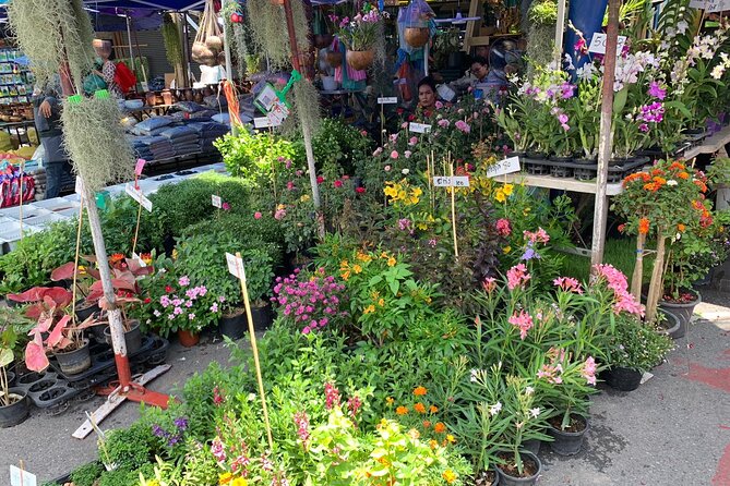 Private Exclusive Guided Chatuchak Weekend Market Shopping Tour - What the Strong Guide Experiences Add