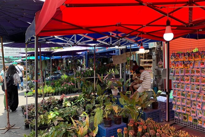 Private Exclusive Guided Chatuchak Weekend Market Shopping Tour - Who Should Book This Private Chatuchak Tour