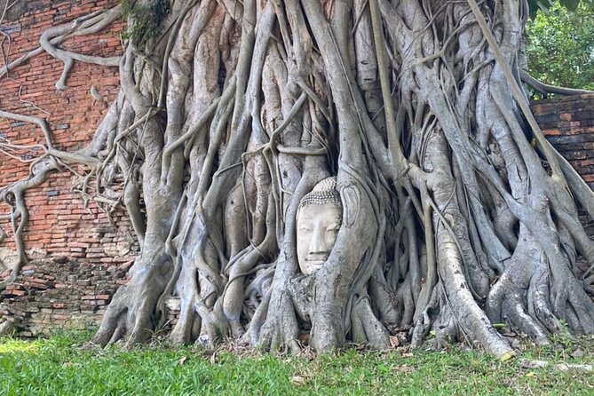 Private tour : A day in a life to visit Ayutthaya with authentic local lunch - The local lunch is more than a box to tick