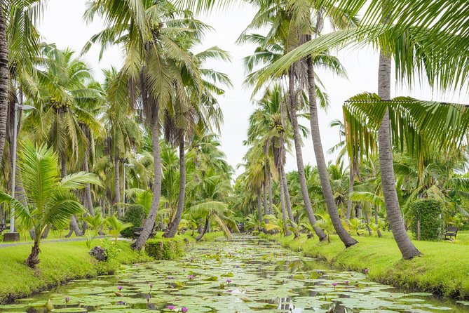 Private Tour: Floating Markets and Suan Sampran Day Trip from Bangkok - How much time do you really get?