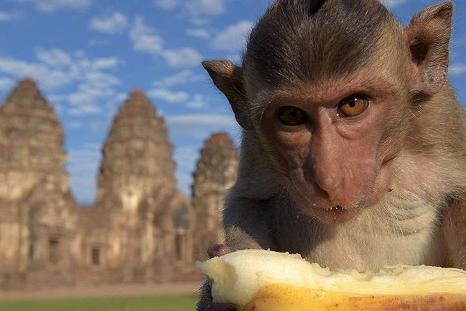 Private tour to Ayutthaya and Lopburi Monkey Temple (from Bangkok) - The long ride back to Bangkok