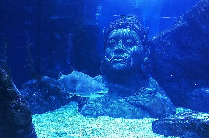 Sea Life Bangkok Ocean World Tickets - Why the Siam Paragon location matters