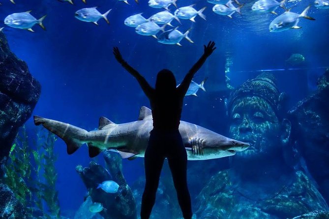 Sea Life Bangkok Ocean World Tickets - Accessibility and family comfort