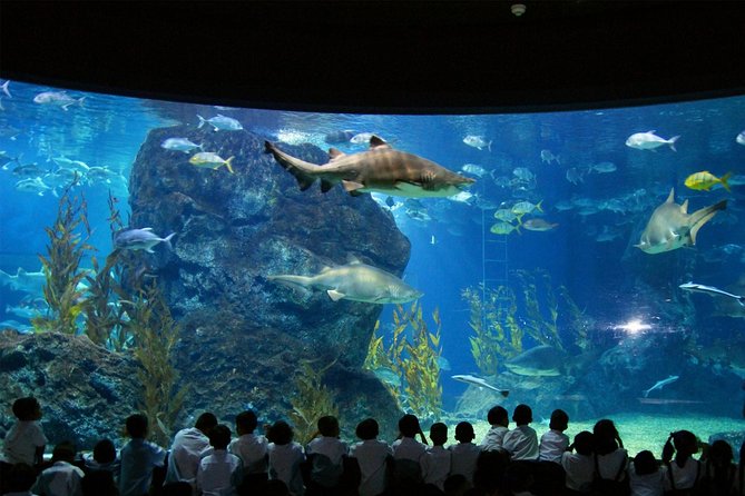 SEA LIFE & Madame Tussauds: Ultimate Bangkok Combo Ticket - Two Bangkok attractions with very different personalities