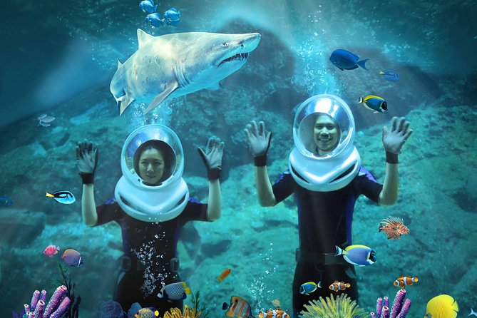 SEA LIFE & Madame Tussauds: Ultimate Bangkok Combo Ticket - Is $55.12 a fair price?