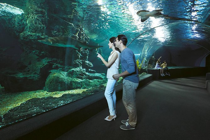 SEA LIFE & Madame Tussauds: Ultimate Bangkok Combo Ticket - Practical details for a smoother visit
