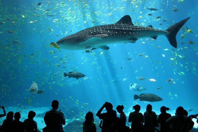 SEA LIFE Ocean World at Bangkok Admission Ticket - Key points to know before you go