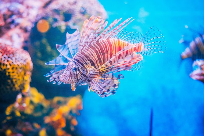 SEA LIFE Ocean World at Bangkok Admission Ticket - Rain Forest and freshwater life