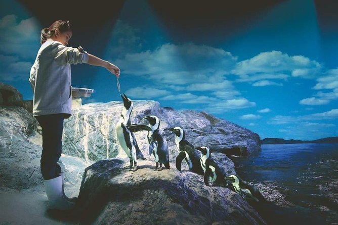 SEA LIFE Ocean World at Bangkok Admission Ticket - Sea Jellies and the quieter part of the visit