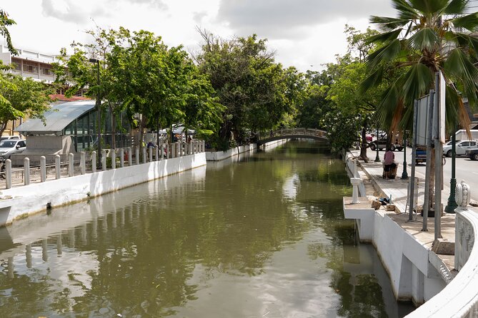 See Bangkok your way with a Personal Private Tour Guide - Add a market, meal, or Chinatown walk