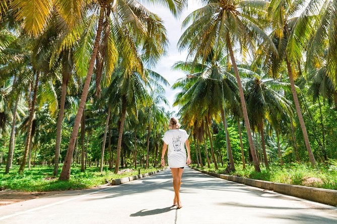 Thai Intro - Phi Phi combines boat trips, snorkeling, and late nights