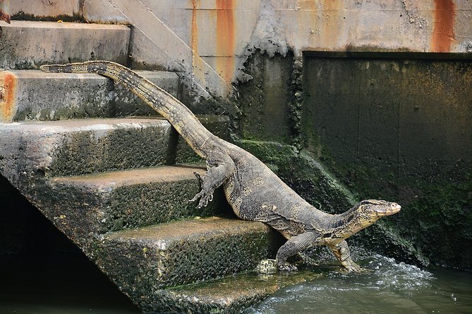 Timeless Thonburi Canal and Food Tour - What the private format adds