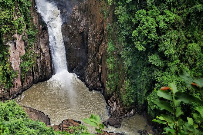 UNESCO Khao Yai National Park Adventure: Hiking & Waterfalls - Transport is convenient, but the return is not to your hotel