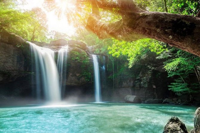 UNESCO Khao Yai National Park Adventure: Hiking & Waterfalls - Should you book the Khao Yai day trip?