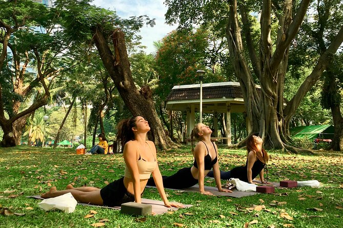 Yoga in the Park Thailand - Wildlife and quiet corners in the middle of Bangkok